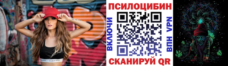 Псилоцибиновые грибы GOLDEN TEACHER  купить  цена  Кумертау 